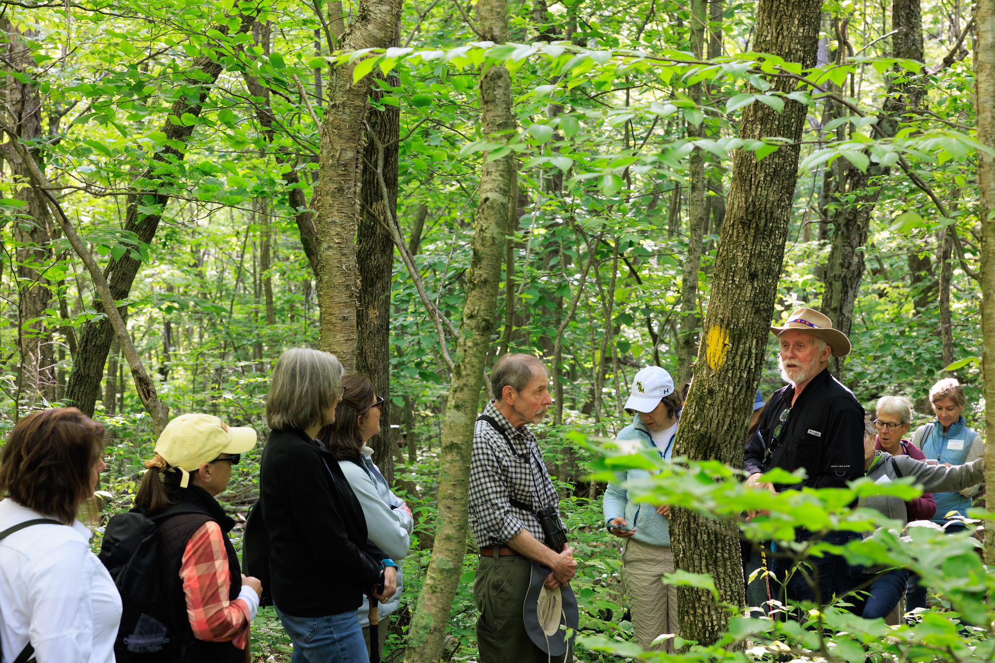 people out on a wildflower hike