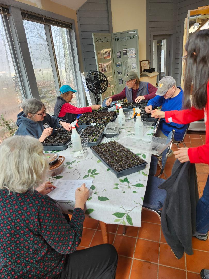 Volunteers sorting and planting seeds