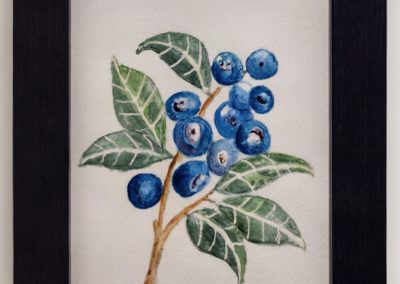 Blueberries by Christine Kelly-Fisher