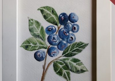 Blueberries by Christine Kelly-Fisher