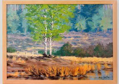 Birches on the Banks by Mae Stoll
