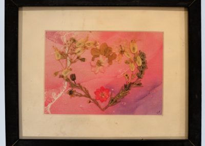 Wild Heart by Nancy Walters