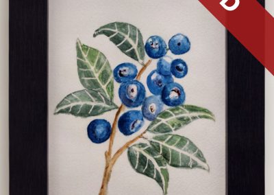 Blueberries by Christine Kelly-Fisher